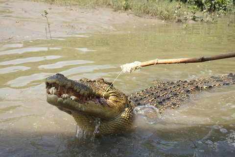 Litchfield And Jumping Crocodiles Full Day Trip From Darwin - Accommodation Georgetown 4