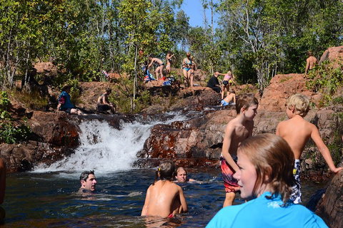 Litchfield And Jumping Crocodiles Full Day Trip From Darwin - Accommodation Georgetown 5