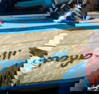 Torrens River Cruise in Adelaide - Accommodation Georgetown