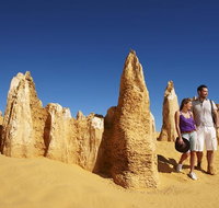 Pinnacles Day Trip from Perth Including Yanchep National Park - Accommodation Georgetown