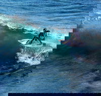 Great Ocean Road Highlights Tour - 2 Days 1 Night