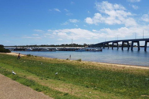 Phillip Island Penguin And Wildlife Tour - Accommodation Georgetown 4