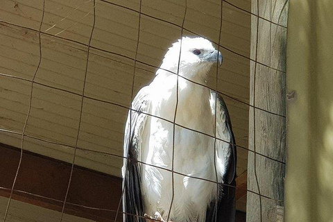 Phillip Island Penguin And Wildlife Tour - Accommodation Georgetown 5