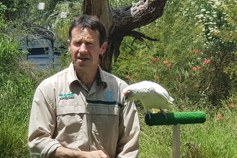Healesville Sanctuary And Rayners Orchard Tour From Melbourne - Accommodation Georgetown 0