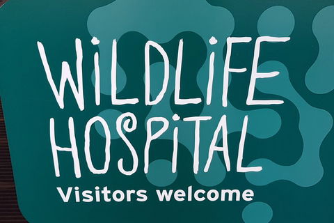 Healesville Sanctuary And Rayners Orchard Tour From Melbourne - Accommodation Georgetown 1