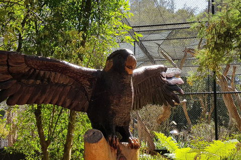 Healesville Sanctuary And Rayners Orchard Tour From Melbourne - Accommodation Georgetown 2