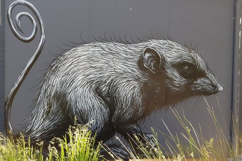 Healesville Sanctuary And Rayners Orchard Tour From Melbourne - Accommodation Georgetown 5