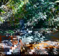 Aquaduck  Your choice of Gold Coast Rainforest Tour - Accommodation Georgetown