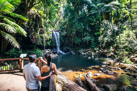 Aquaduck & Your Choice Of Gold Coast Rainforest Tour - Accommodation Georgetown 0