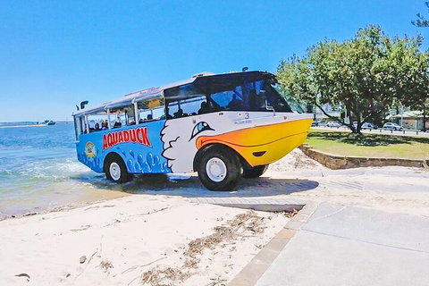 Aquaduck & Your Choice Of Gold Coast Rainforest Tour - Accommodation Georgetown 1
