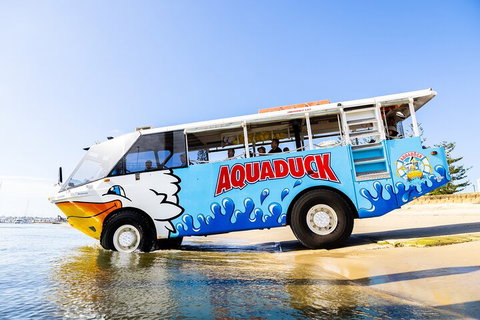 Aquaduck & Your Choice Of Gold Coast Rainforest Tour - Accommodation Georgetown 3