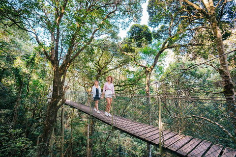Aquaduck & Your Choice Of Gold Coast Rainforest Tour - Accommodation Georgetown 4