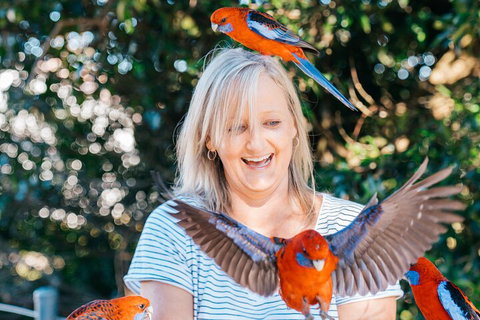 Aquaduck & Your Choice Of Gold Coast Rainforest Tour - Accommodation Georgetown 5