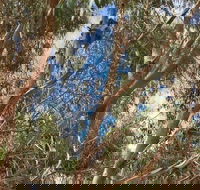 Kangaroo Island 4WD Tour - Best of KI in 2 Days - Accommodation Georgetown