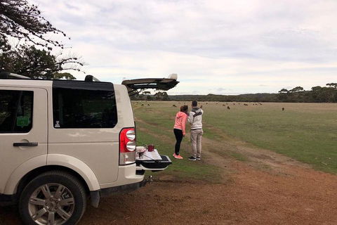 Kangaroo Island 4WD Tour - Flinders Chase - Accommodation Georgetown 3