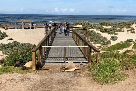 Kangaroo Island 4WD Tour - Best Of KI - Accommodation Georgetown 2
