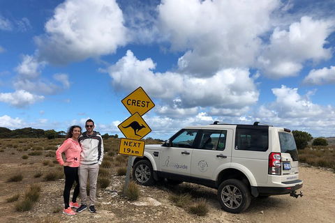 Kangaroo Island 4WD Tour - Best Of KI - Accommodation Georgetown 5