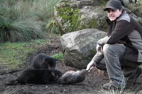 After Dark Tasmanian Devil Feeding Tour At Cradle Mountain - Accommodation Georgetown 2