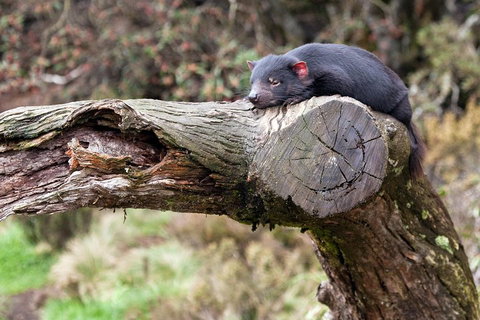 Day Keeper Tour - Accommodation Georgetown 0