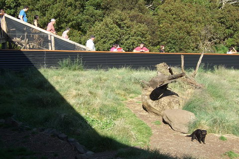 Day Keeper Tour - Accommodation Georgetown 2