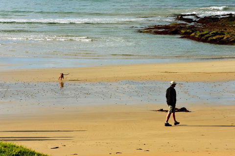 Ultimate Reverse Direction - 12 Apostles, Great Ocean Road - Small Group Tour - Accommodation Georgetown 1