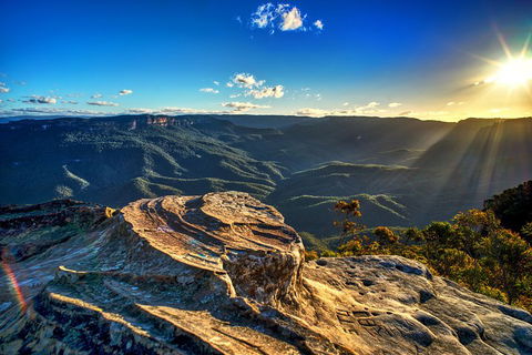 Ultimate Blue Mountains And Wildlife Tour - Accommodation Georgetown 4