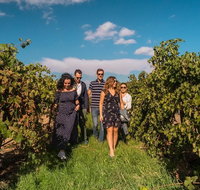 Barossa Valley Private Tour from 2 to 11 people - Accommodation Georgetown