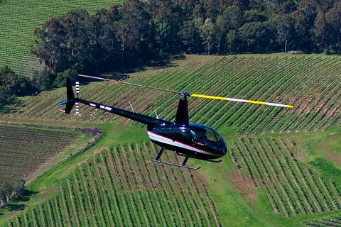 Hunter Valley Wine Country Helicopter Flight From Cessnock - Accommodation Georgetown 3