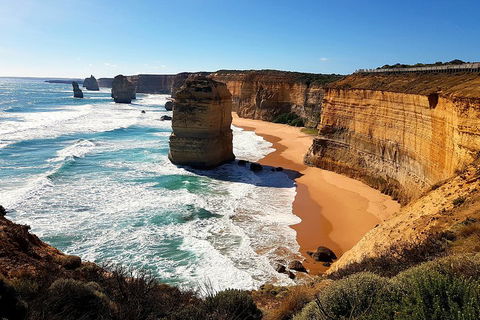 Helicopter Flight + Fine Dining Private Luxury Great Ocean Road Tour - Accommodation Georgetown 4