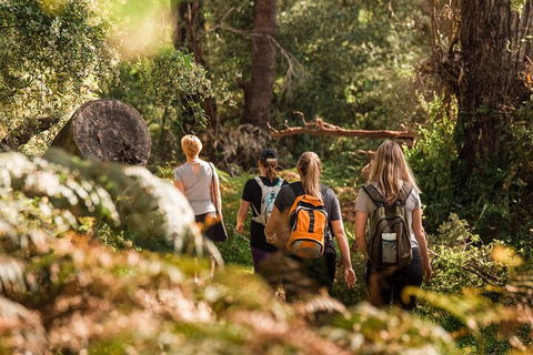Cabaret Cave Yoga & Mindful Hike - Accommodation Georgetown 2