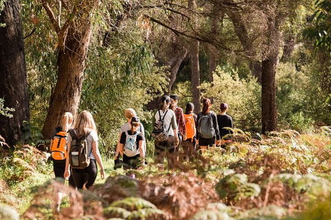 Half-Day Yanchep Ghost House Wilderness Guided Hike Tour - Accommodation Georgetown 0