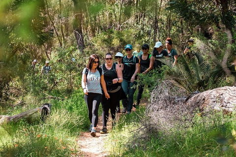 Half-Day Yanchep Ghost House Wilderness Guided Hike Tour - Accommodation Georgetown 3