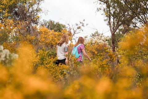 Half-Day Yanchep Ghost House Wilderness Guided Hike Tour - Accommodation Georgetown 4