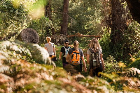 Half-Day Yanchep Ghost House Wilderness Guided Hike Tour - Accommodation Georgetown 5