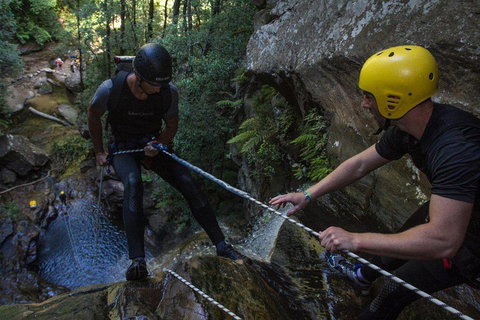 Blue Mountains Empress Canyon Adventure From Wentworth Falls - Accommodation Georgetown 2