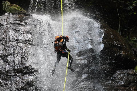 Blue Mountains Empress Canyon Adventure From Wentworth Falls - Accommodation Georgetown 3