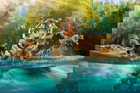 Croc Express to Australia Zoo from Brisbane