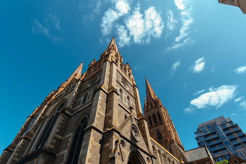 Highlights & Hidden Gems With Locals: Best Of Melbourne Private Tour - Accommodation Georgetown 4