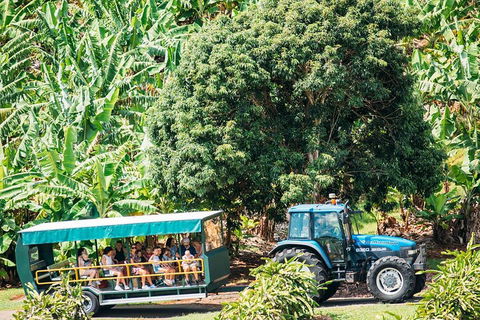 Northern Rivers Full Day Wine Tour - Accommodation Georgetown 1