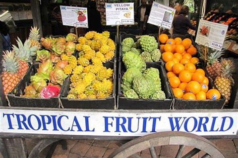 Northern Rivers Full Day Wine Tour - Accommodation Georgetown 3