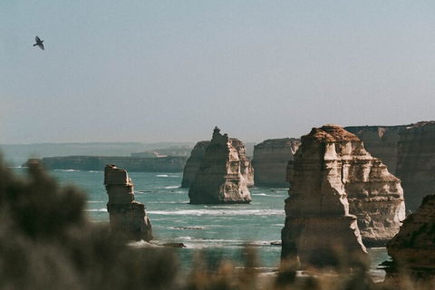 Half-Day Or Full-Day Tour With Private Guide From Melbourne - Accommodation Georgetown 0