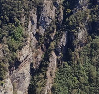 Leven Canyon Day Trip Including Wings Wildlife Park or Gunns Plains Caves - Accommodation Georgetown