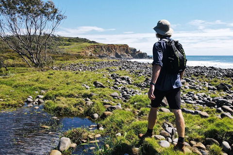 Half Day Guided Small Group Walk - Accommodation Georgetown 0