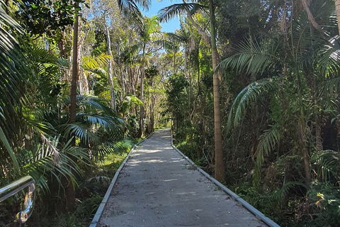 Half Day Guided Small Group Walk - Accommodation Georgetown 3