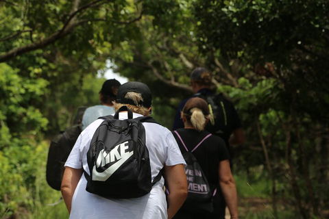 Half Day Guided Small Group Walk - Accommodation Georgetown 4