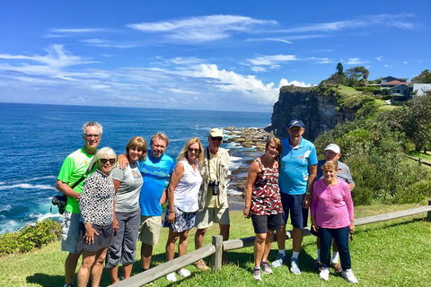 Shore Excursion: Sydney's Northern Beaches & Ku-ring-gai National Park Bus Tour - Accommodation Georgetown 0