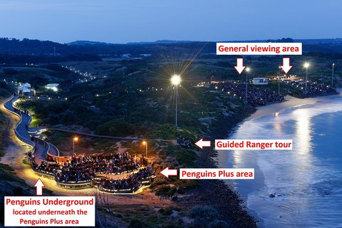 Phillip Island Penguin, Brighton Beach, Moonlit Sanctuary From Melbourne - Accommodation Georgetown 4