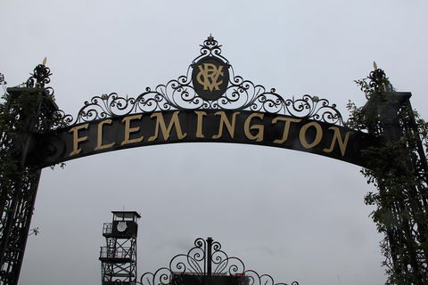 Half-Day Sports Lovers Bus Tour Of Melbourne With Tour Options - Accommodation Georgetown 3