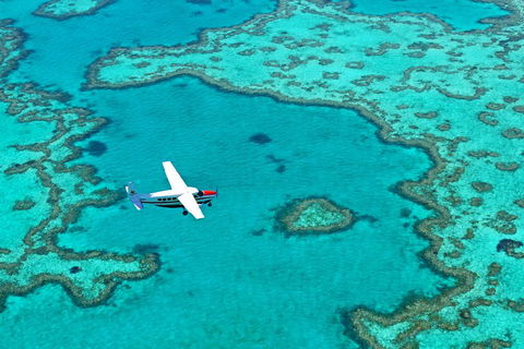 Reef And Island Scenic Flight From Airlie Beach - Accommodation Georgetown 4