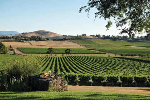 Small Group 6 Guests: Ultimate Yarra Valley Food And Wine - Mercedes Van - Accommodation Georgetown 4